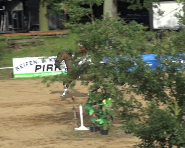 Reitturnier CSN Calvörde 2017