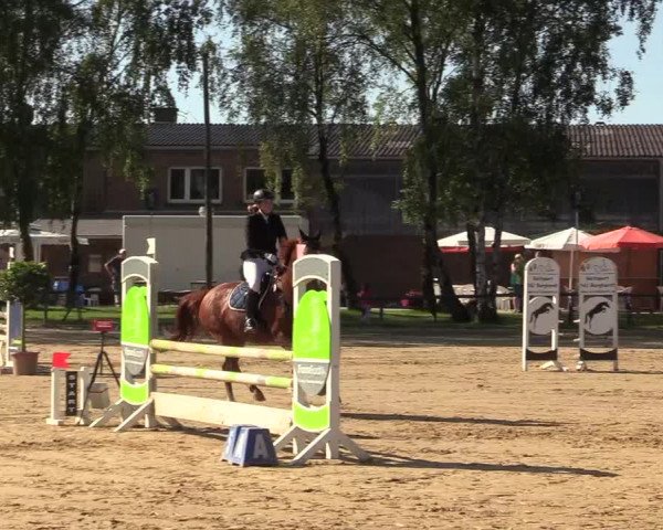 Reitturnier Herbern 2017