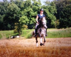 dressage horse Jugar con fuego (Pura Raza Espanola (PRE), 2010)