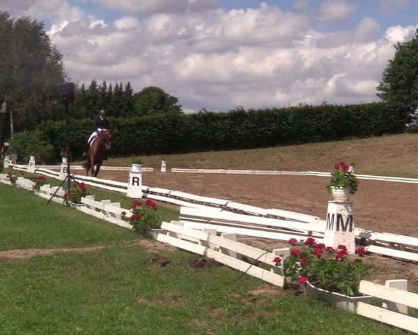Reitturnier Vlotho-Exter 2017