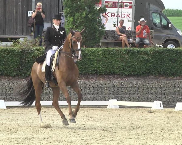 Reitturnier Leudelange-Ecuries des Prés 2017