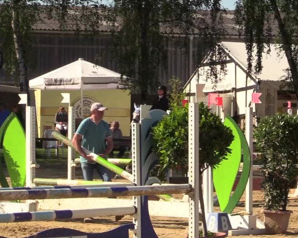 Reitturnier Herbern 2017