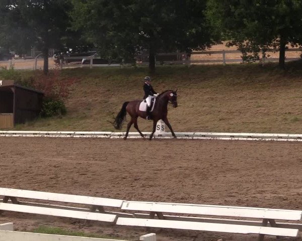 Reitturnier Vlotho-Exter 2017