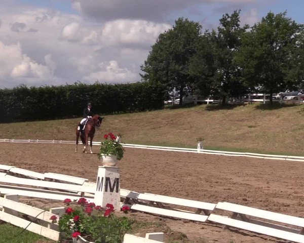 Reitturnier Vlotho-Exter 2017
