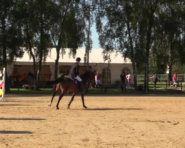 Reitturnier Herbern 2017