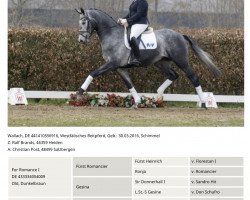 horse First Class (Westphalian, 2016, from For Romance I)