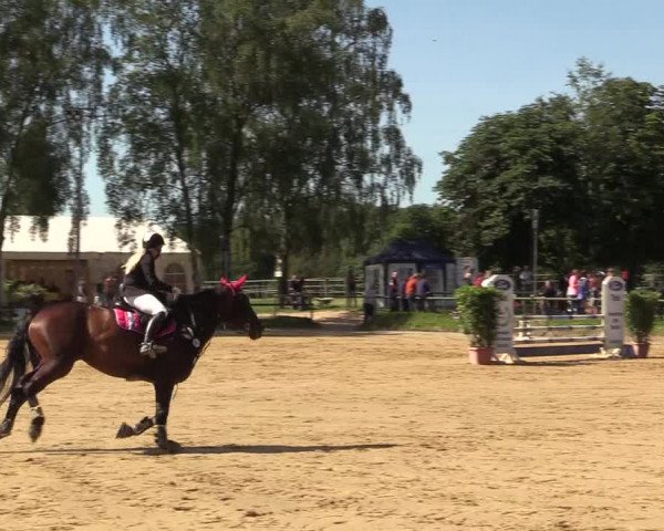 Reitturnier Herbern 2017