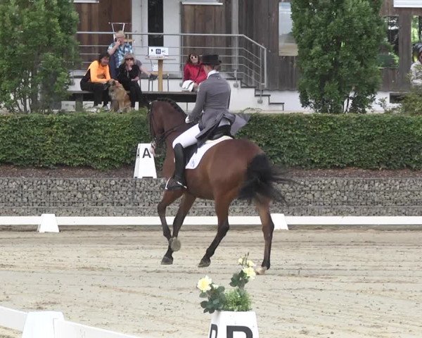 Reitturnier Leudelange-Ecuries des Prés 2017