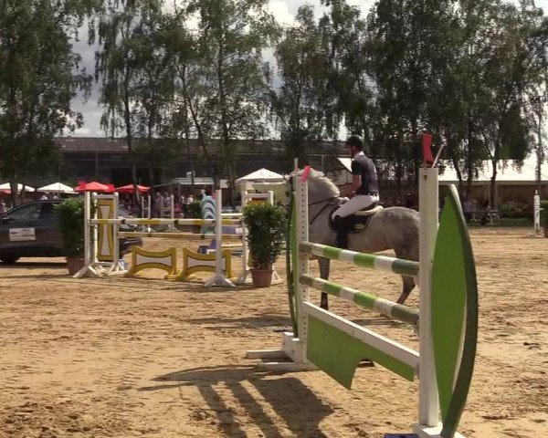 Reitturnier Herbern 2017