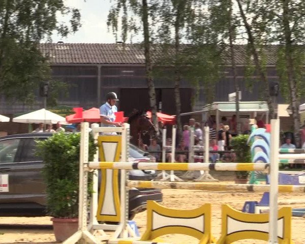 Reitturnier Herbern 2017