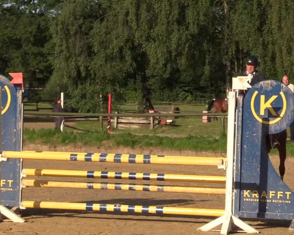 Reitturnier Herbern 2017