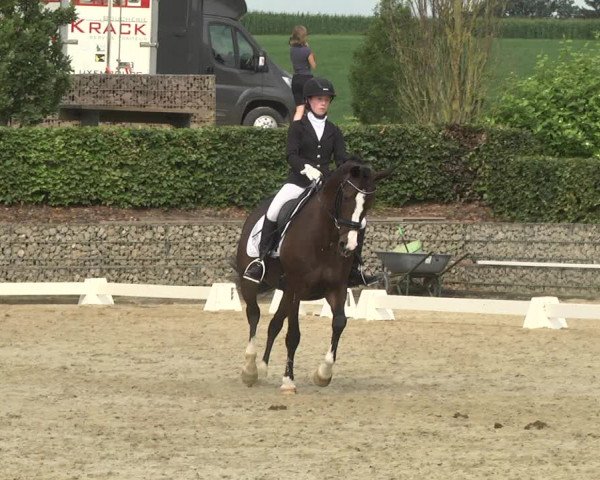 Reitturnier Leudelange-Ecuries des Prés 2017