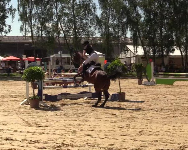 Reitturnier Herbern 2017