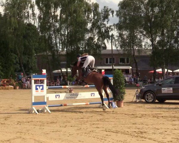 Reitturnier Herbern 2017