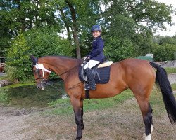 horse Lou-Sulola (German Sport Horse, 2006, from Lacordos)