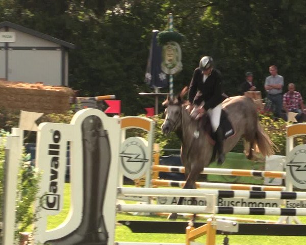 Reitturnier Vlotho-Exter 2017