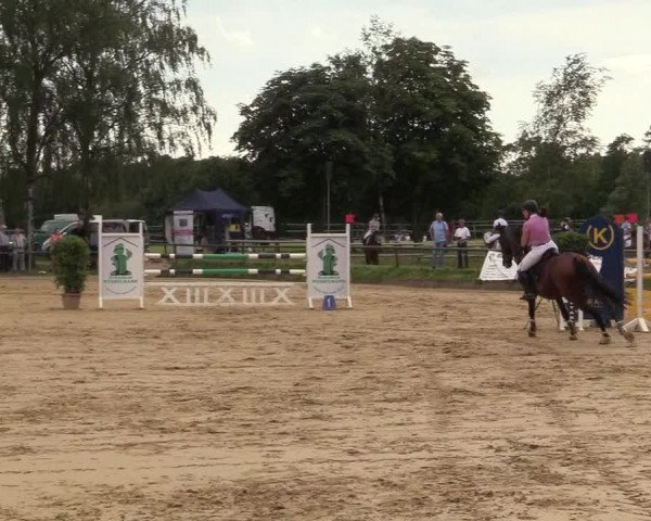 Reitturnier Herbern 2017