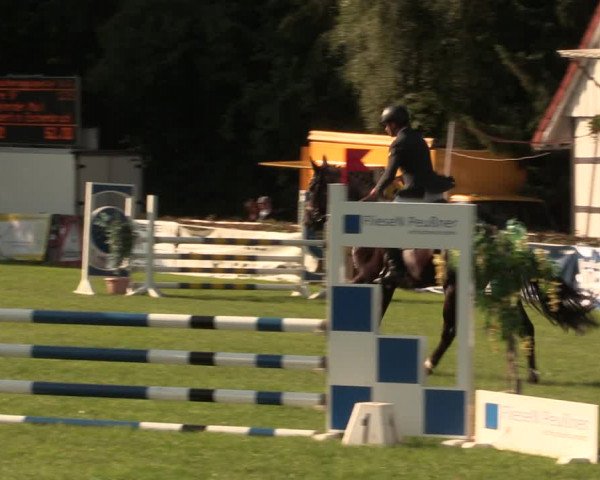 Reitturnier Vlotho-Exter 2017