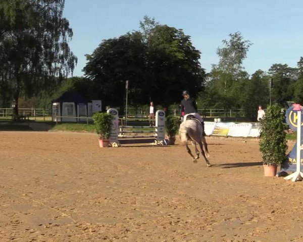 Reitturnier Herbern 2017