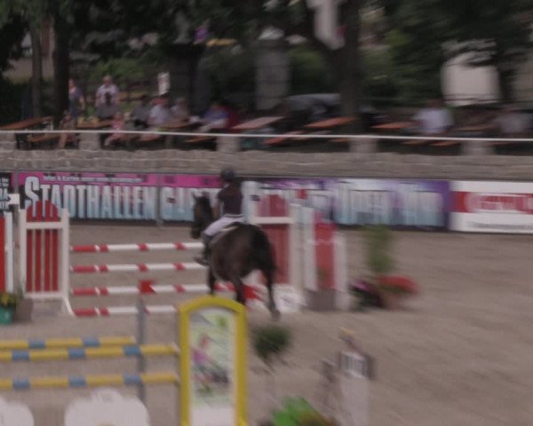 Reitturnier Görlitz 2017