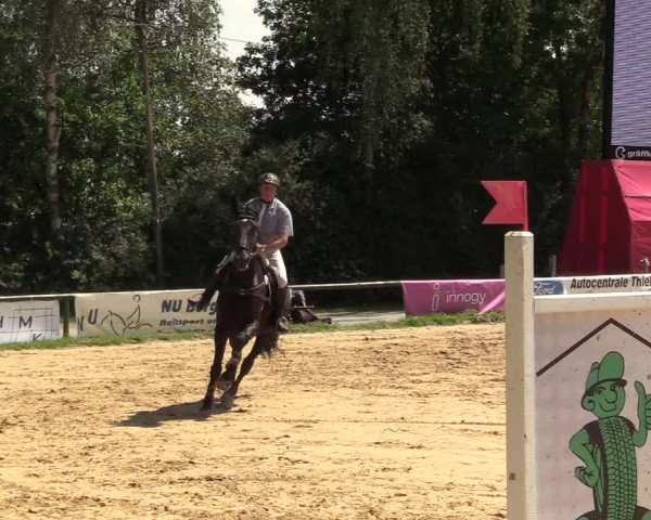 Reitturnier Herbern 2017