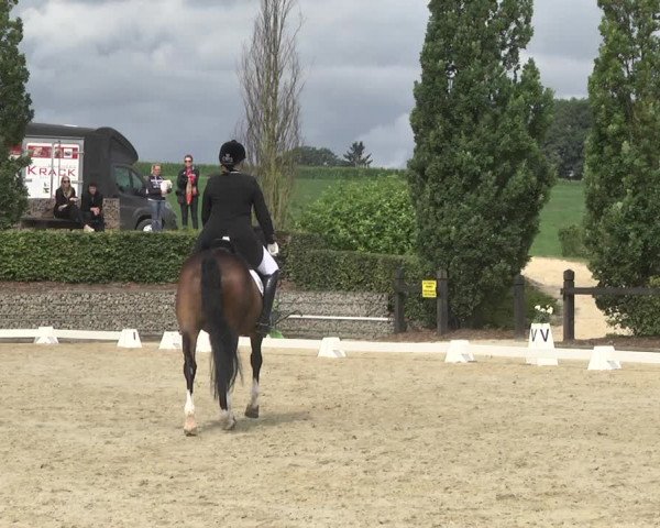 Reitturnier Leudelange-Ecuries des Prés 2017
