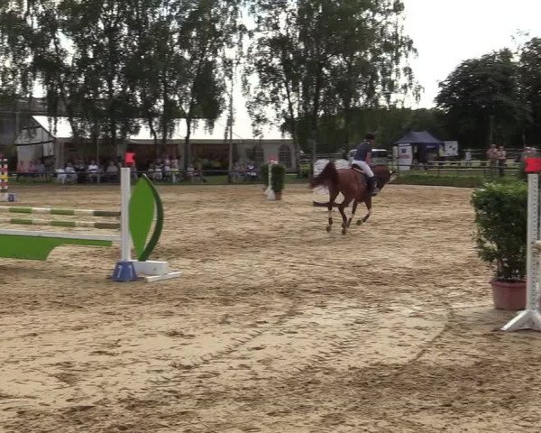 Reitturnier Herbern 2017