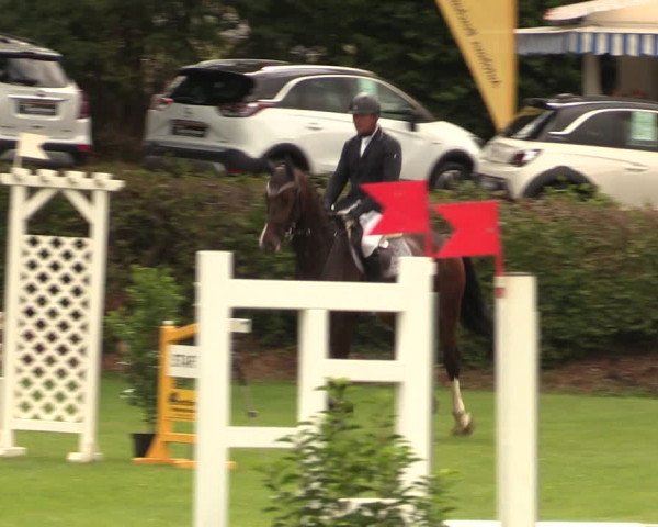 Reitturnier Vlotho-Exter 2017
