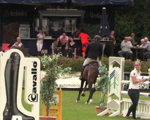 Reitturnier Vlotho-Exter 2017