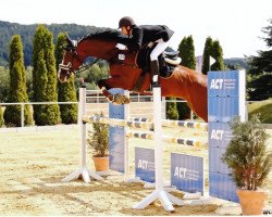 jumper Little Pezi 3 (Hanoverian, 2011, from Lord Pezi)