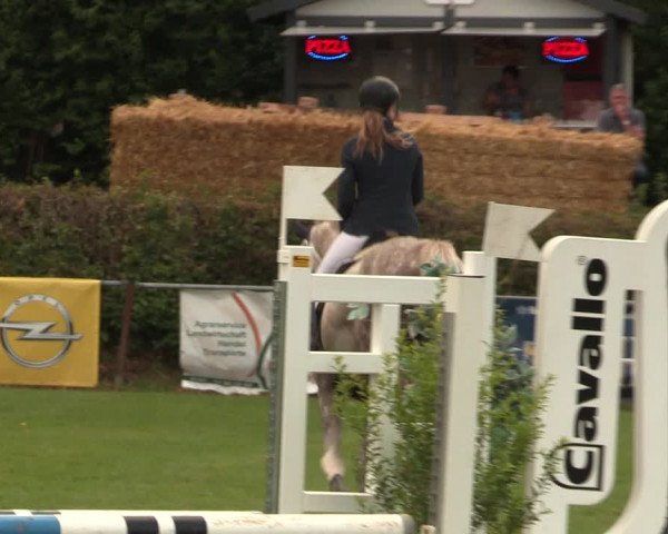 Reitturnier Vlotho-Exter 2017