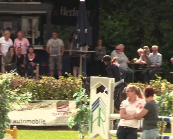 Reitturnier Vlotho-Exter 2017