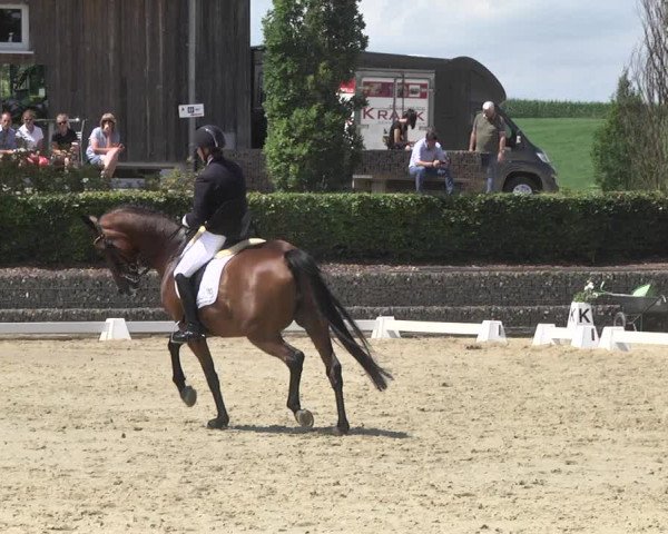 Reitturnier Leudelange-Ecuries des Prés 2017