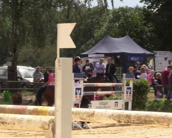 Reitturnier Herbern 2017