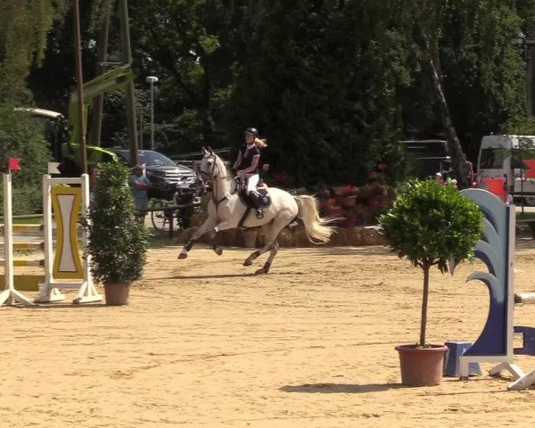 Reitturnier Herbern 2017