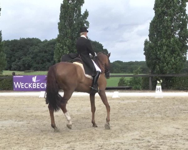 Reitturnier Leudelange-Ecuries des Prés 2017