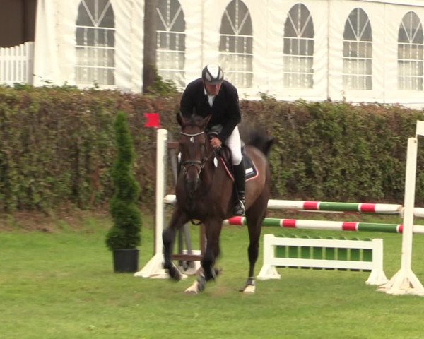 Reitturnier Vlotho-Exter 2017