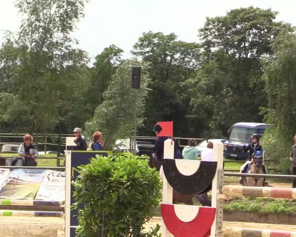 Reitturnier Herbern 2017