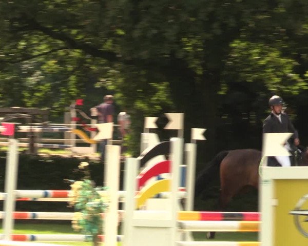 Reitturnier Vlotho-Exter 2017