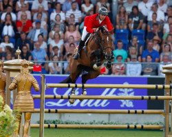 jumper Hannah (Belgian Warmblood, 2007, from Dulf van den Bisschop)