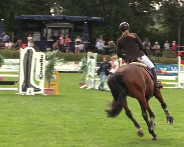 Reitturnier Vlotho-Exter 2017