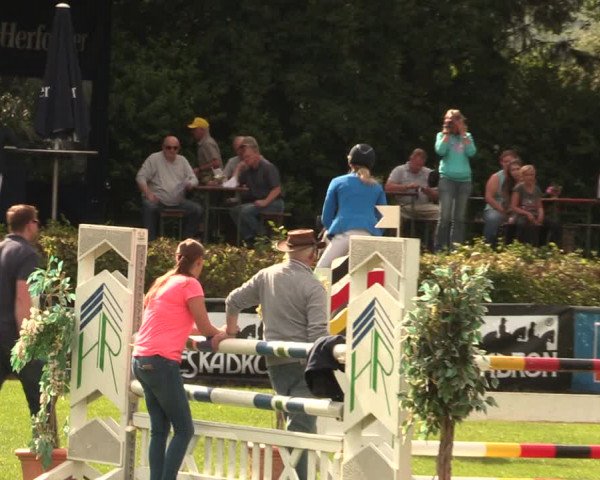 Reitturnier Vlotho-Exter 2017