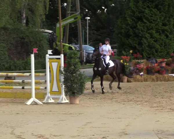 Reitturnier Herbern 2017