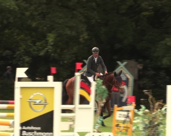 Reitturnier Vlotho-Exter 2017
