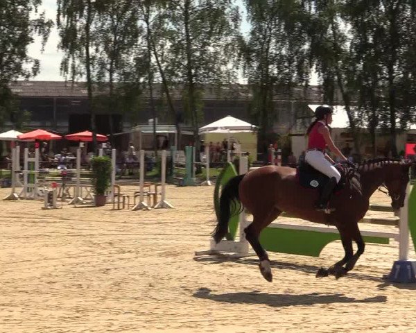 Reitturnier Herbern 2017
