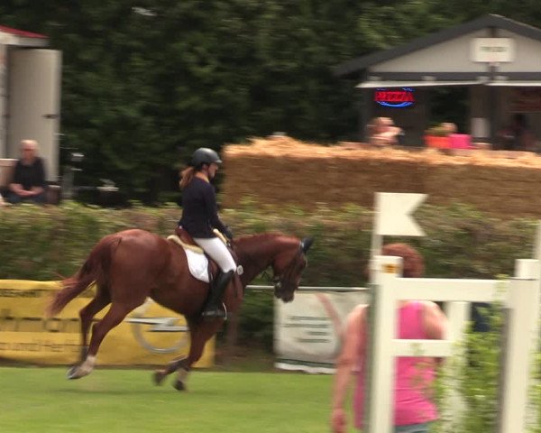 Reitturnier Vlotho-Exter 2017
