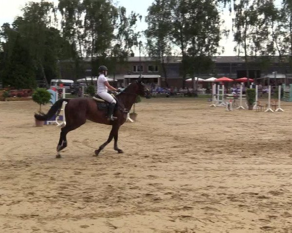 Reitturnier Herbern 2017