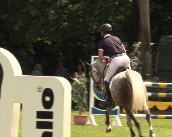 Reitturnier Vlotho-Exter 2017