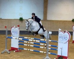 jumper Hell Boy (KWPN (Royal Dutch Sporthorse), 2012, from Quality Time)
