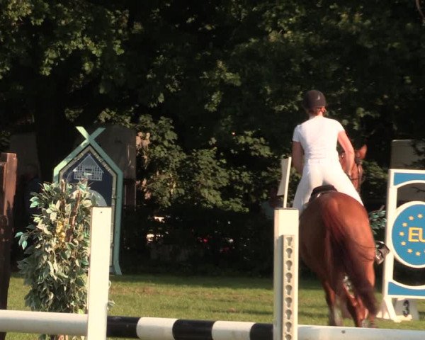 Reitturnier Vlotho-Exter 2017